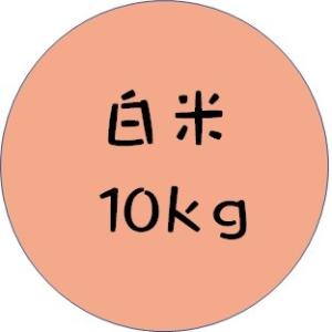 令和5年産　夢ごこち　白米　１０ｋｇ