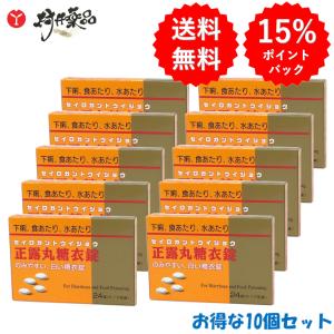 ニッシン正露丸糖衣錠 24錠 ×10個 正露丸 ...の商品画像