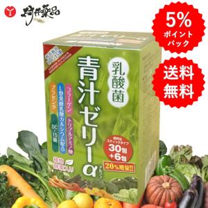 トキワ　アミノV トキワ アミノV 〈潤〉 30本 30日分 (1本/日) ×6個 青りんご風味