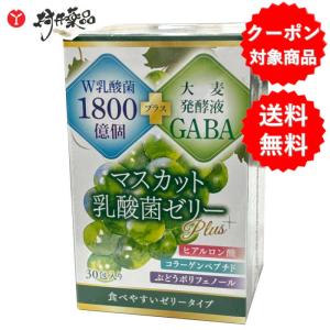 送料無料】オーラループ4（ORALOOP4）＋ 1本 60g ー三リン酸5Na配合
