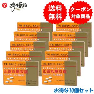 ニッシン正露丸糖衣錠 24錠 ×10個 正露丸 ...の商品画像