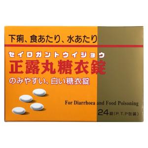 ニッシン正露丸糖衣錠 24錠 ×10個 正露丸...の詳細画像1