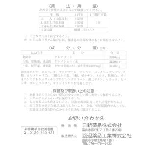 ニッシン正露丸糖衣錠 24錠 ×10個 正露丸...の詳細画像4