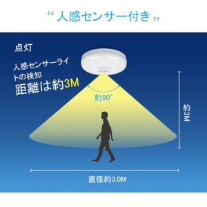 シーリングライト LED 照明 コンパクト 人...の詳細画像2
