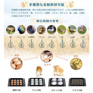 自動孵卵器 孵化器 インキュベーター 鳥類専用...の詳細画像4