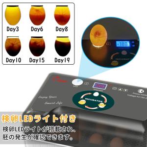 自動孵卵器 インキュベーター 孵化器 鳥類専用...の詳細画像4