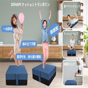 テクノリンク シェイプリフト スリムビューティハウス EMS Shape