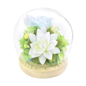 ガラスドーム プリザーブドフラワー 夏 四季スフィア C27350
