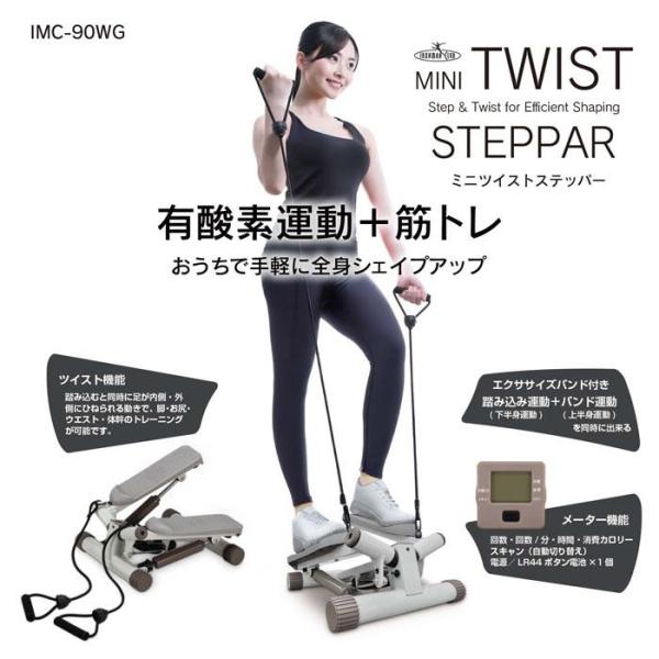 IRONMAN-CLUB 鉄人倶楽部 ミニツイストステッパー バンド付 IMC-90WG 有酸素運動...