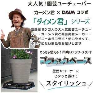 DAIM ブラックベース 24cm カーメン君...の詳細画像2