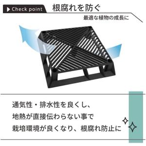 DAIM ブラックベース 24cm カーメン君...の詳細画像3