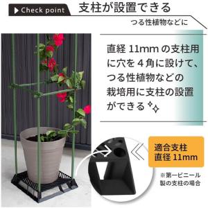 DAIM ブラックベース 24cm カーメン君...の詳細画像5