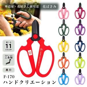 ハンドクリエーション F170 黒刃シリーズ
