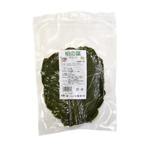 柏の葉　緑　50枚　柏葉　柏餅の葉っぱ　グリーン