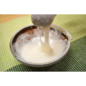 やまといもの粉末 500g 大和芋 山芋 緑SAの詳細画像2