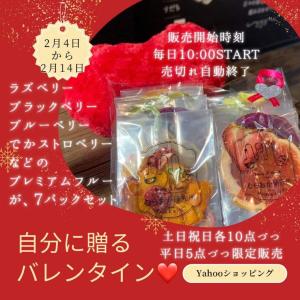 期間中毎日　バレンタインプレミアムフルーツ７パックセット