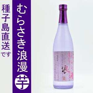 カリタ・水出しコーヒー器具 アクア3000（約25杯用） ※メーカー直送品