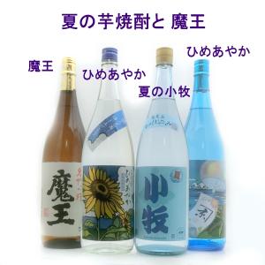 夏焼酎と魔王 1800ml 4本｜焼酎商店 正価販売