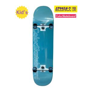 ColorSkateboard カラースケートボード スケートボード コンプリートセット PSSTIX COMP GR オンラインストア限定｜murasaki