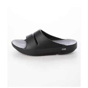 ケルトアンド コブラ STEVE MADDEN / スティーブ・マデン リカバリー