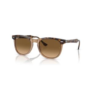 Ray-Ban/レイバン サングラス EAGLE EYE 0RB2398F｜murasaki