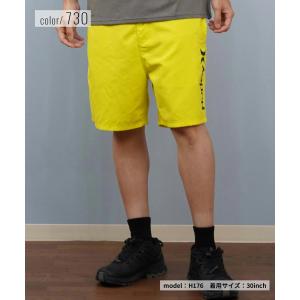 Hurley ハーレー 水着 海パン トランク...の詳細画像2