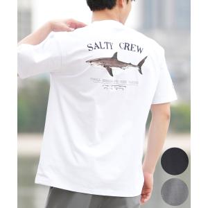 SALTY CREW ソルティークルー 半袖 Tシャツ メンズ ラッシュガード 水陸両用 バックプリント 55-234の商品画像