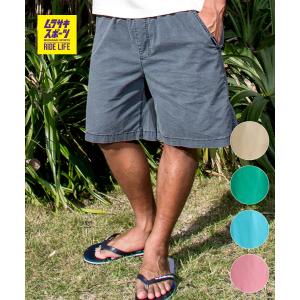QUIKSILVER クイックシルバー ハーフパンツ ショートパンツ メンズ ウォークショーツ 19インチ EQYWS03915
