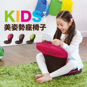 新品】ドリーム プロイデア 背筋がGUUUN 美姿勢座椅子リッチ D-0070