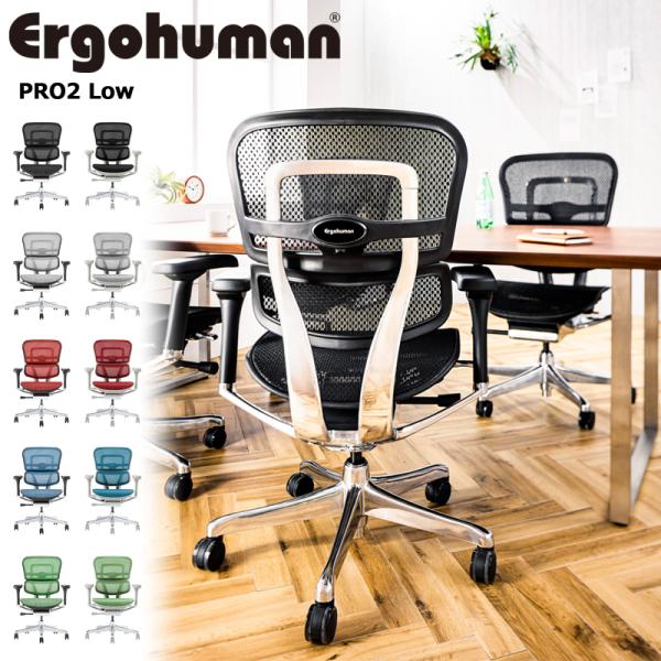 オフィスチェア エルゴヒューマン プロ2 ロータイプ DR 新基盤 Ergohuman PRO2 L...