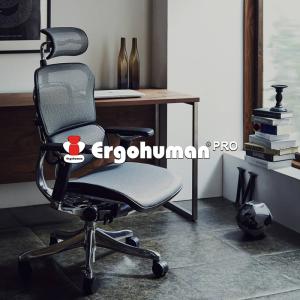エルゴヒューマン プロ チェア ハイタイプ ヘッドレスト付き メッシュ ゲーミングチェア オフィスチェア エラストメリック 3Dメッシュ 関家具 ERGOHUMAN EHP-HAM