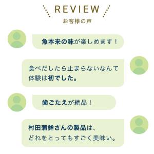 かまぼこ さつま揚げ 【銀浪(小) 1本 11...の詳細画像3