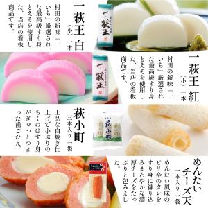半額 かまぼこ さつま揚げ【14種 お試しセッ...の詳細画像4