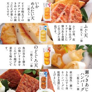 半額 かまぼこ さつま揚げ【14種 お試しセッ...の詳細画像5