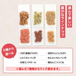 かまぼこ さつま揚げ【6種から選べる 本格 お...の詳細画像3