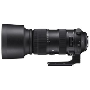 SIGMA 【納期未定】60-600mm F4.5-6.3 DG OS HSM Sports　ニコン...