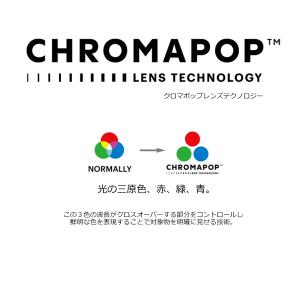 SMITH スミス 偏光サングラス エンバーク...の詳細画像5