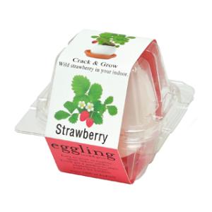 SEISHIN 聖新陶芸 エッグリング ストロベリー EG-5704