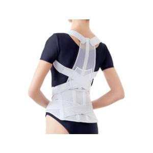 alphax/アルファックス  お医者さんの腰から正す姿勢ベルト LL-3L