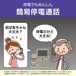 【5年間延長保証込】Panasonic パナソ...の詳細画像3