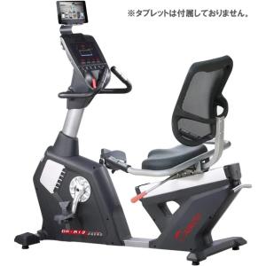 準業務用 リカンベントバイク DK-R13 代引不可 Daikou