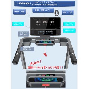 DAIKOU/大広 【納期9月中旬以降】【代引...の詳細画像5