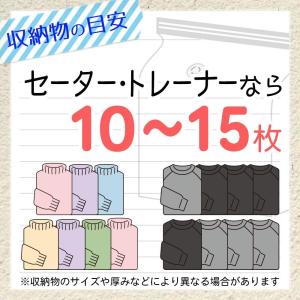 LEC レック Ba 衣類圧縮袋 マチ付 2枚...の詳細画像3
