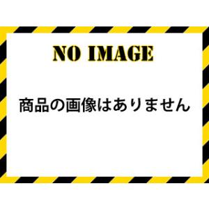 LIHIT LAB./リヒトラブ カードポケット A4S G49050｜murauchi3