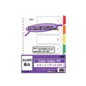 TEJI/テージー カラーインデックスＰＰ Ａ５ ２０穴 ６山 IN2206