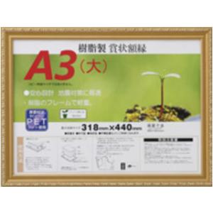 大仙  賞状額縁金消し 金消 R A3大 MSJ045B3400