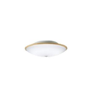 DAIKO/大光電機 DXL-81453　LED小型シーリング(昼光色)【クイック取付式】【人感セン...