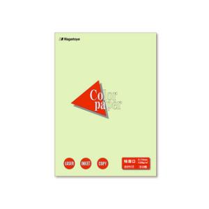 Nagatoya/長門屋商店 カラーペーパー特厚口B5 50P 若草 ナ-4406 B5判 特厚口