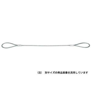 O.H. オーエッチ工業 アウト アルミロックワイヤー Φ6mm×2m OLW6-20