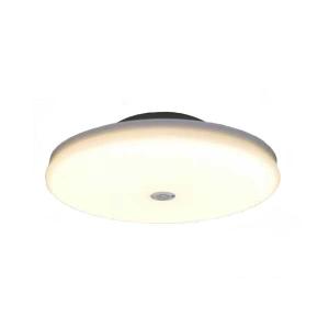 KOIZUMI（コイズミ） コイズミ照明 小型シーリング AH43160L 工事必要